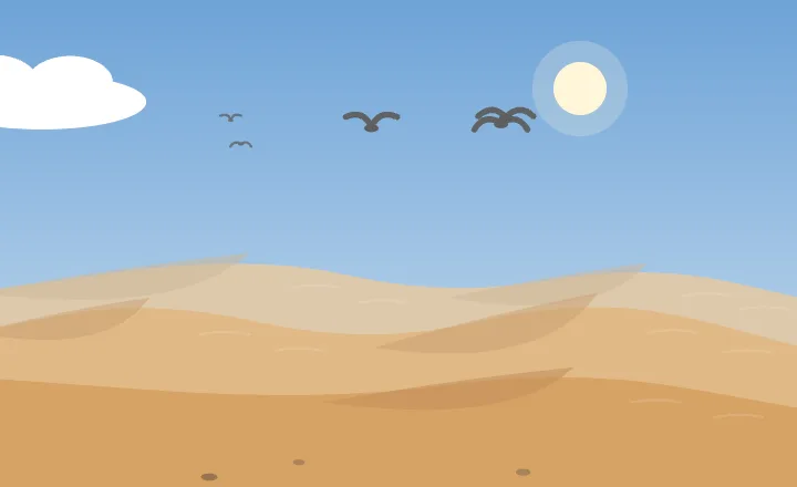 Desert in each season