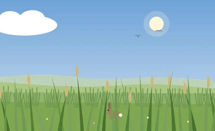 Grassland in each season