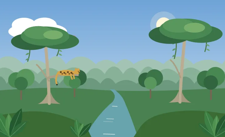 Jungle in each season