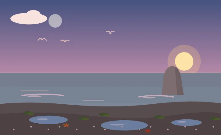 Rocky coast at dusk