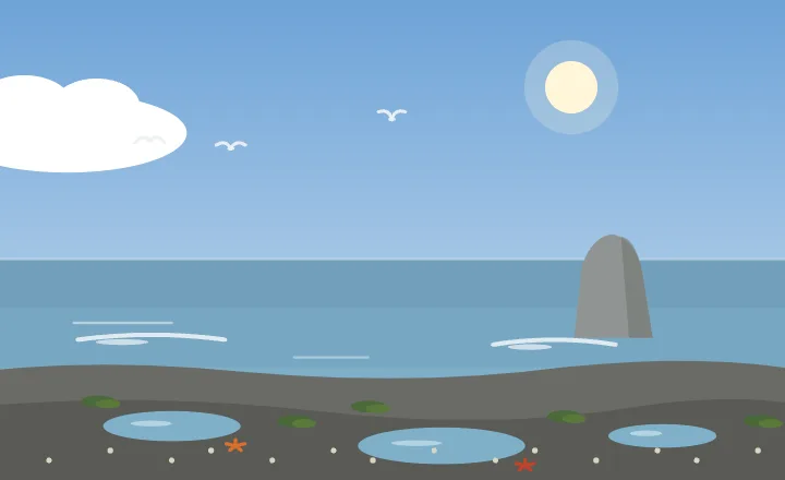 Rocky coast in each season